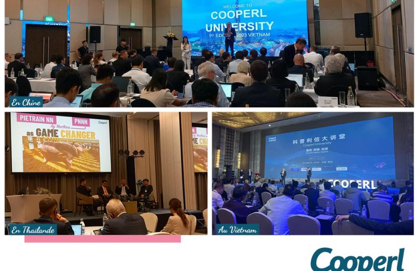 made in Cooperl in Asia