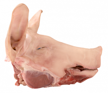 Pork head 111910