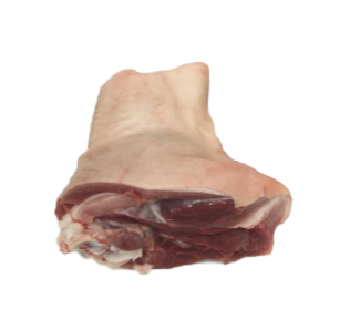 Pork hind hock 127179