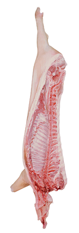 Half carcass pork side EEC cut with shoulder chap