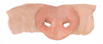 Boneless snout 111906