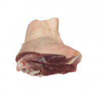 Pork hind hock 127179