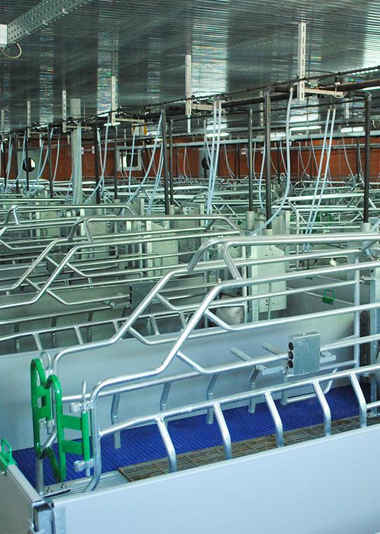 Climate and ventilation for livestock buildings