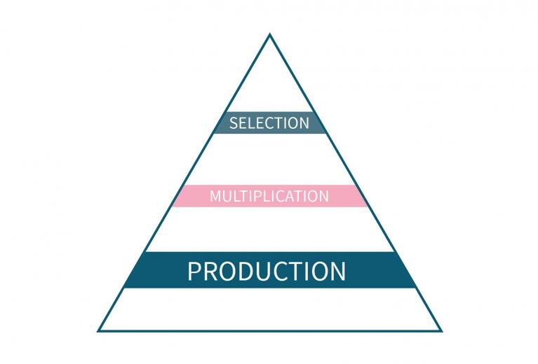 Production applications