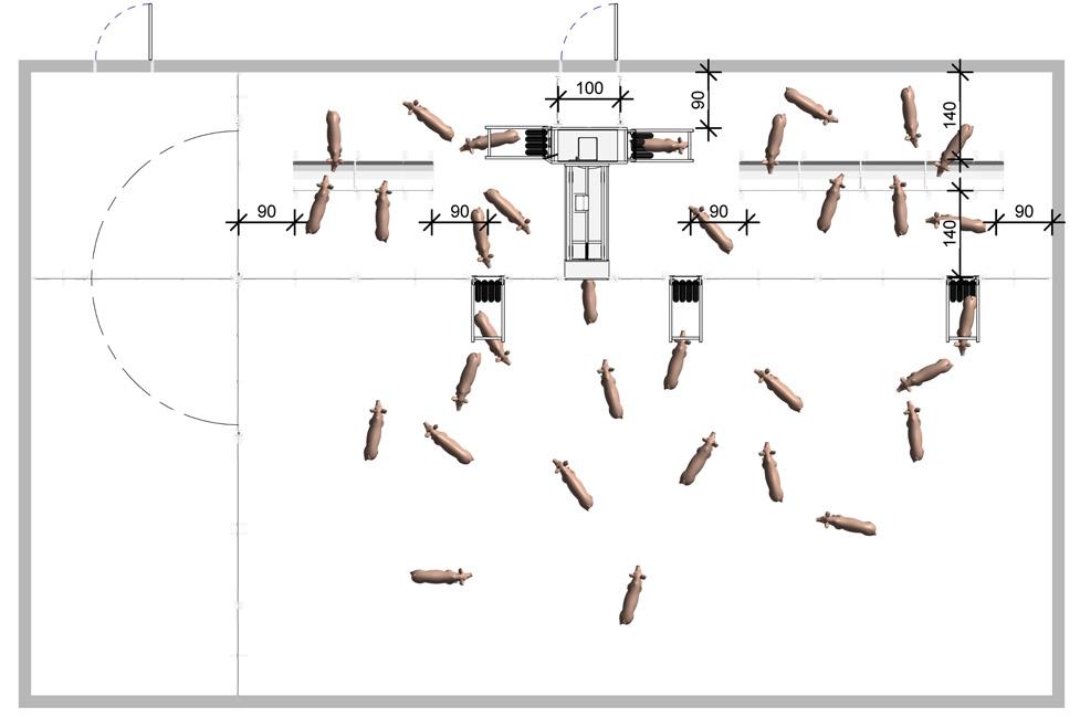 building-tristar-sorting-station-picture-2